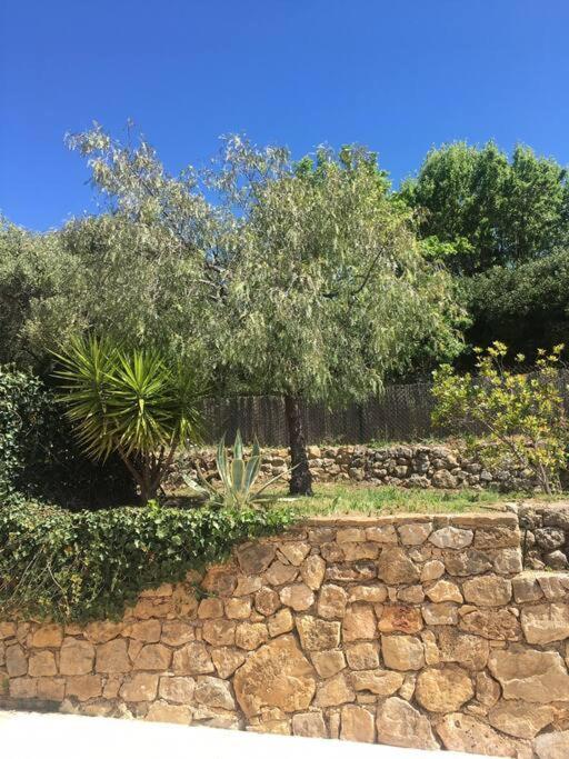 Sur Les Hauteurs De Bandol Villa